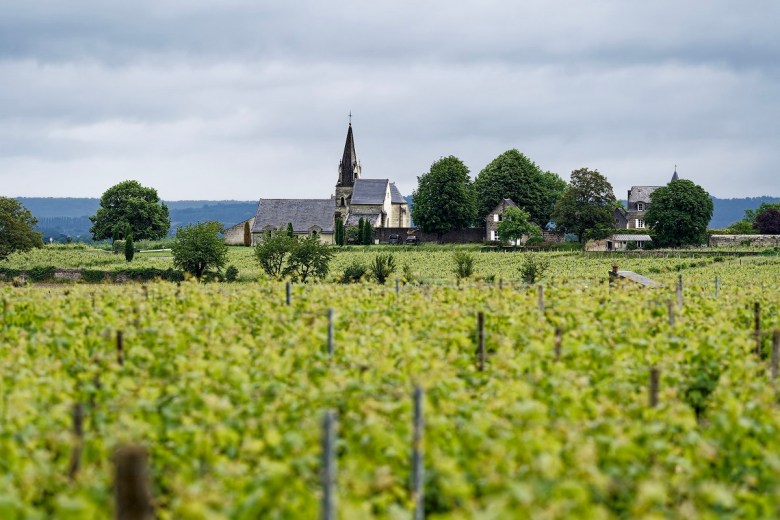 Why Loire Valley Wines should be on your radar this summer 