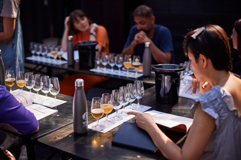 WSET to host free virtual beer tasting