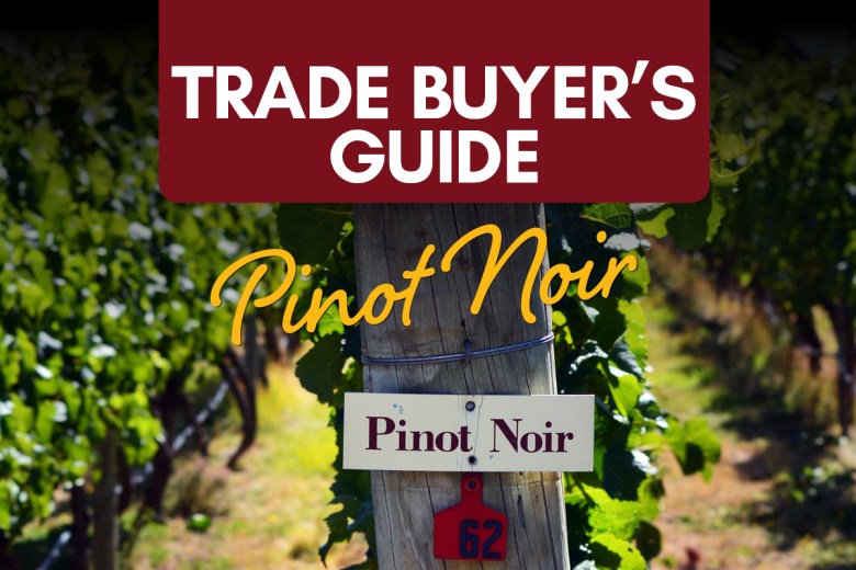 Trade Buyer’s Guide – Pinot Noir