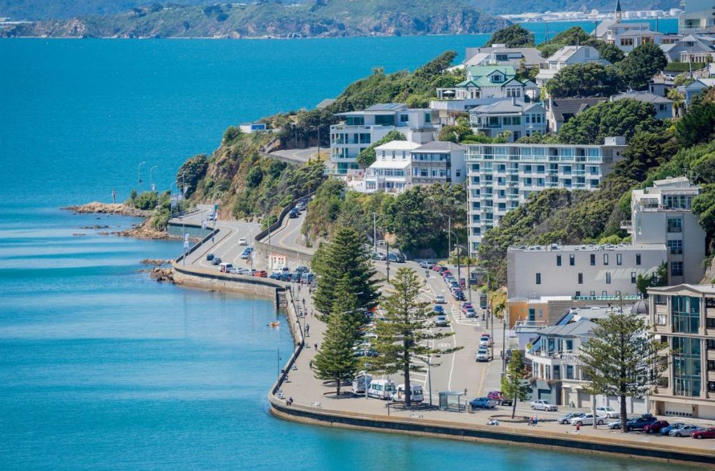 Domestic Travel Decline Hits New Zealand Hotels Hard