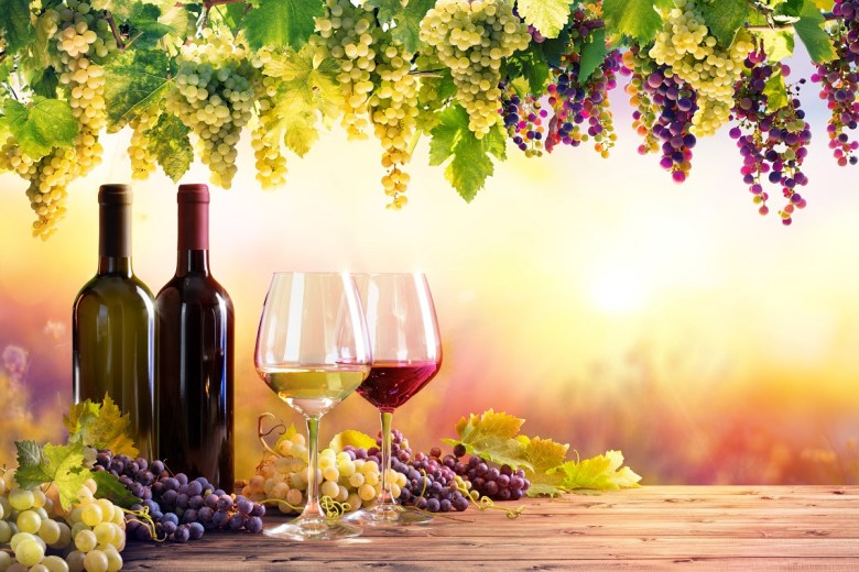 One Grape and Wine Sector Plan launched