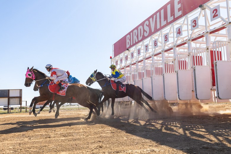 Birdsville Race Club celebrates another year of outback racing tradition