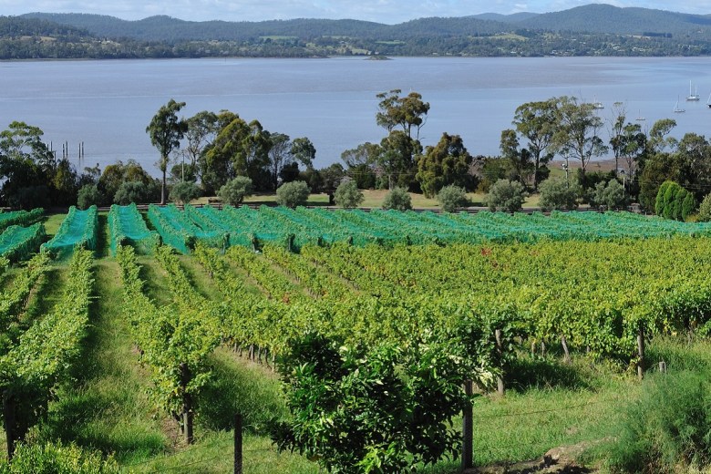 Wine buyers invited to apply for Tasmania trade visit