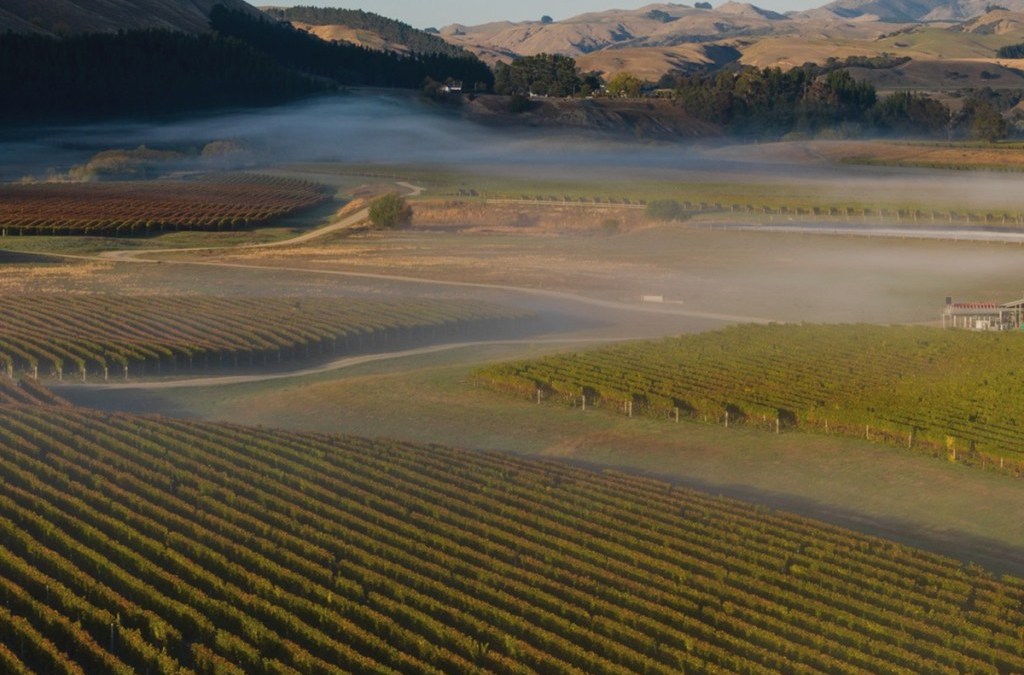 Wairarapa region announces inaugural wine festival