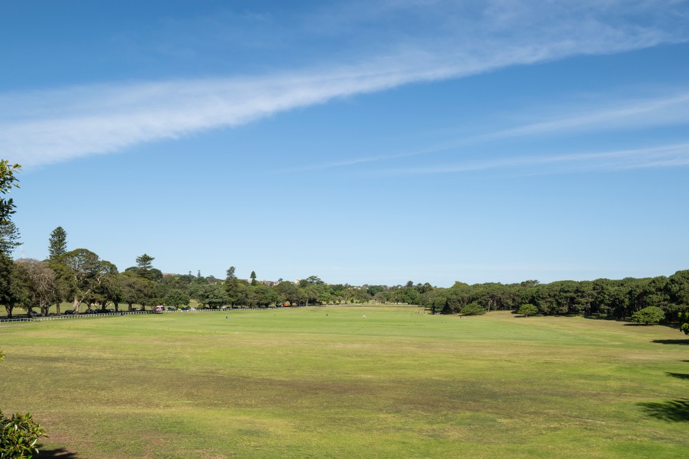 The Paddock opens in Centennial Parklands