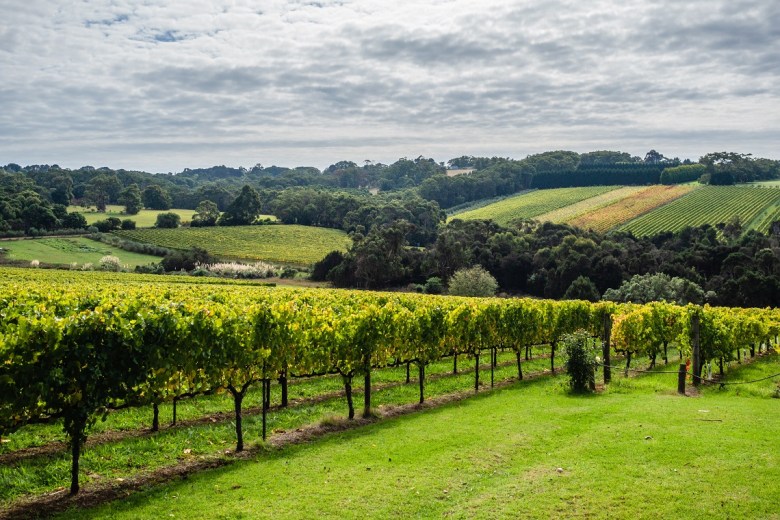 Consultation open for National Vineyard Register